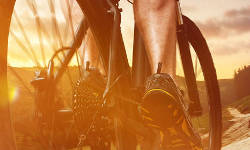 Radtour Naturpark Dahme- Heidesee