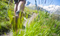 Wanderung Seddin - Forsthaus Templin 12 km